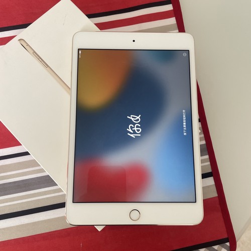 Ipad mini wifi ottime - wifi,