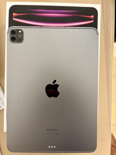Ipad pro gen 256 - 11,