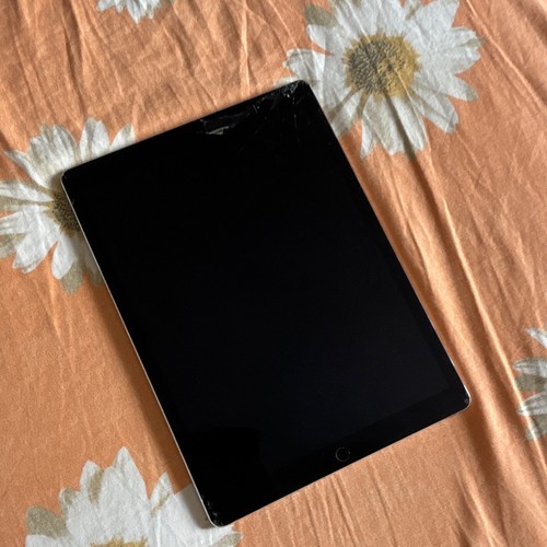 Ipad pro gen 2017 wifi - pro,